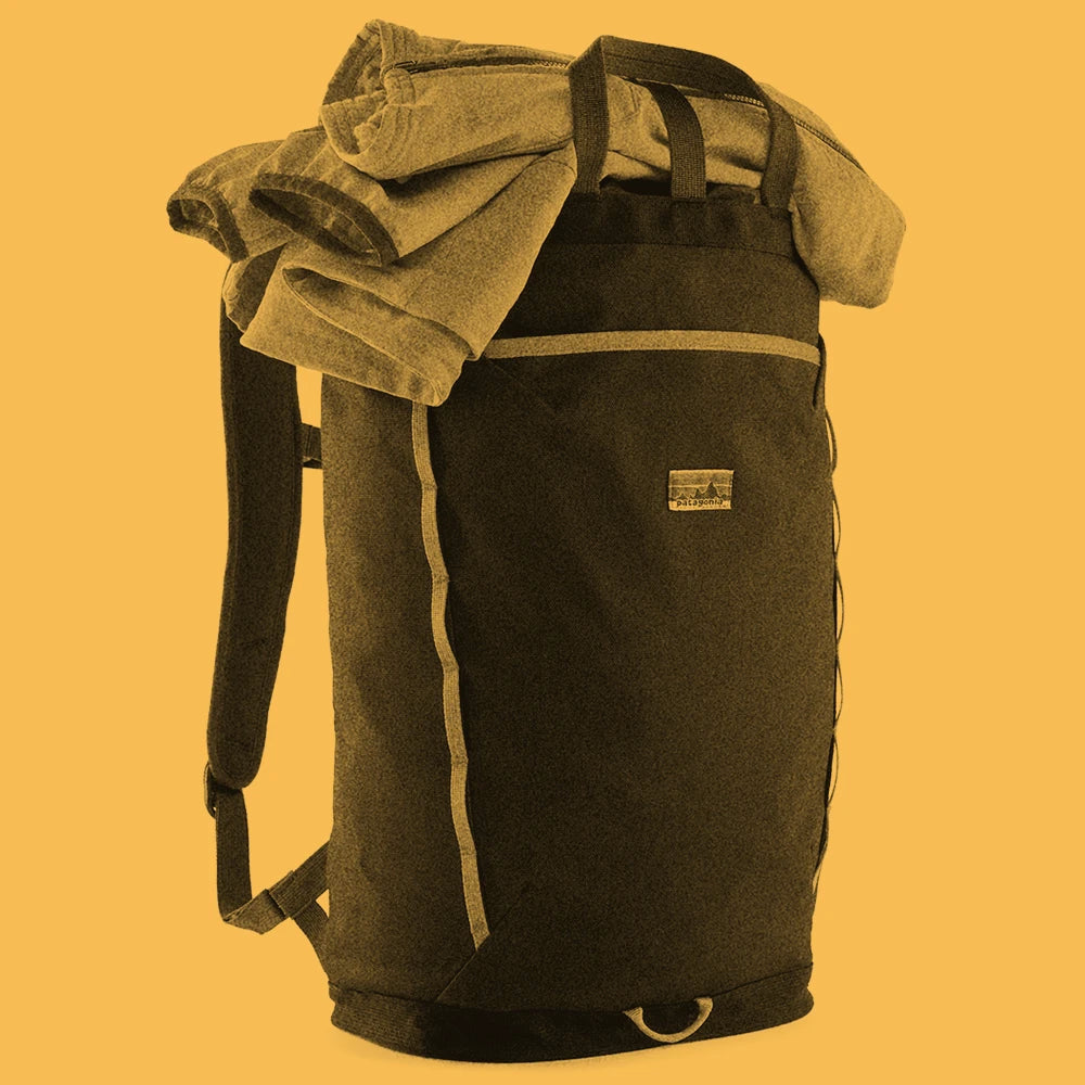 Patagonia Fieldsmith Linked Pack 24L Black The Brokedown Palace