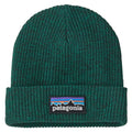 Kids' Logo Beanie - P-6 Logo: Solo Teal